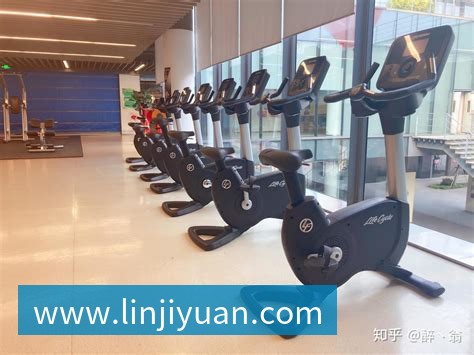 罗马尼亚国家队80岁老帅卢塞斯库因健康问题辞职引发关注